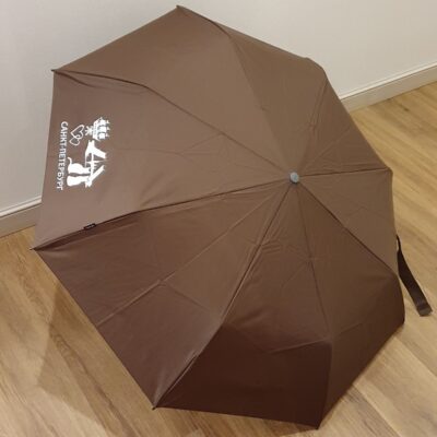 Зонт автомат Knirps E.200 Medium Duomatic DARK BROWN с слоготипом СПб